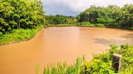 Debit Air Meningkat di Telaga Kalen Suruh